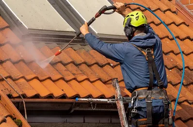 Démoussage et hydrofuge de toiture à Thann
